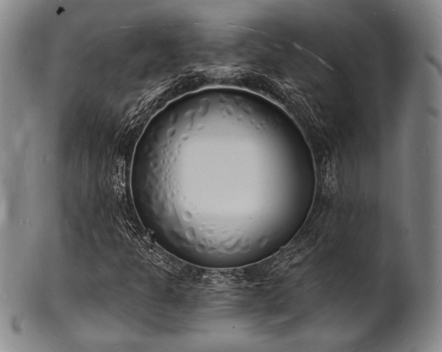 X0000101691301200807101503