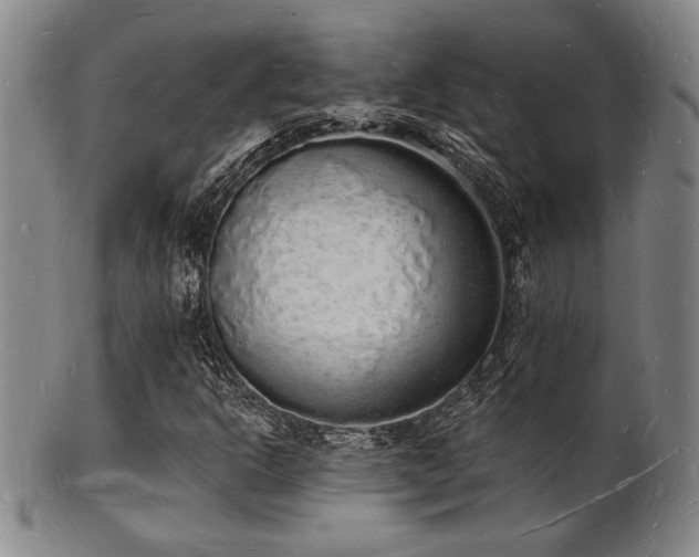 X0000101691302200807101503