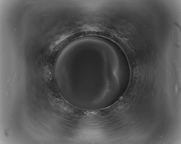 X0000101691303200807101503