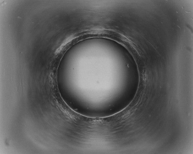 X0000101691304200807101503