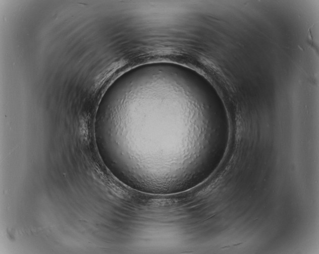 X0000101691305200807101503