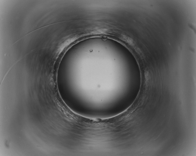 X0000101691308200807101503