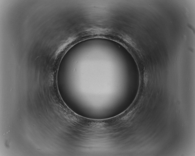 X0000101691309200807101503