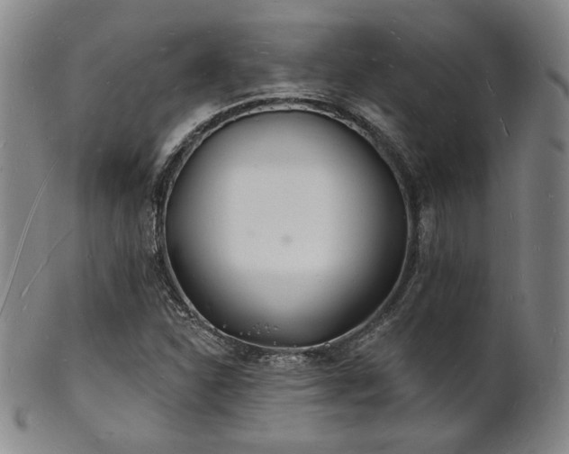 X0000101691310200807101503