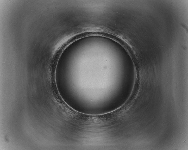 X0000101691311200807101503