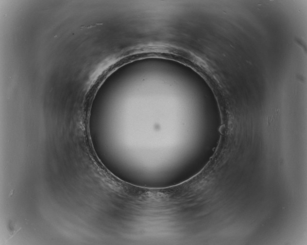 X0000101691312200807101503