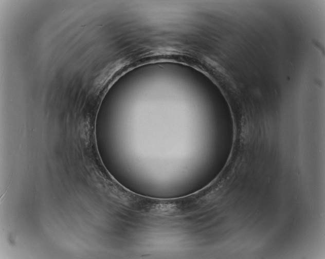 X0000101691313200807101503