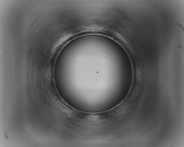 X0000101691315200807101503