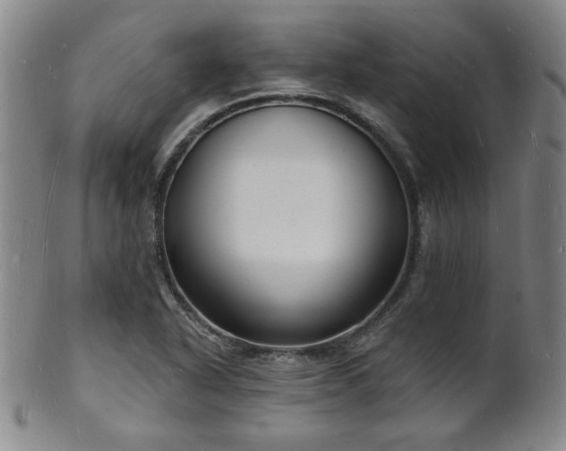 X0000101691318200807101503