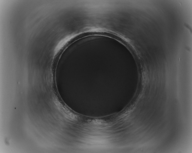 X0000101691319200807101503