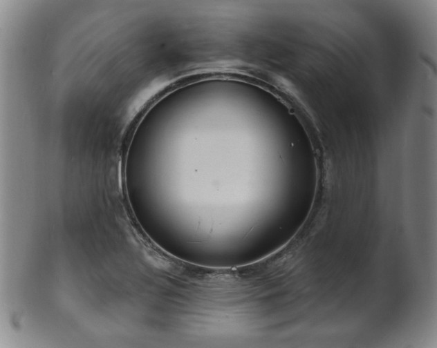 X0000101691320200807101503