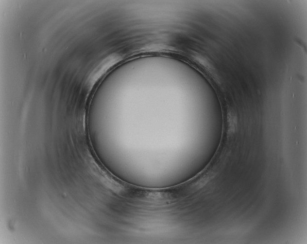 X0000101691322200807101504