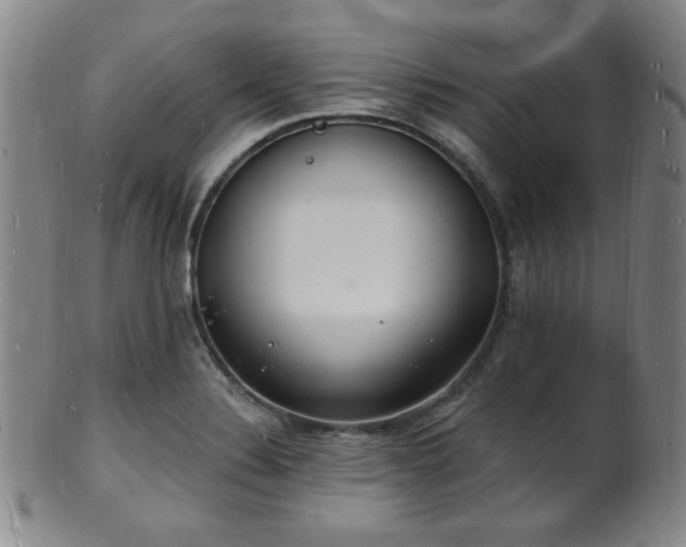 X0000101691324200807101504