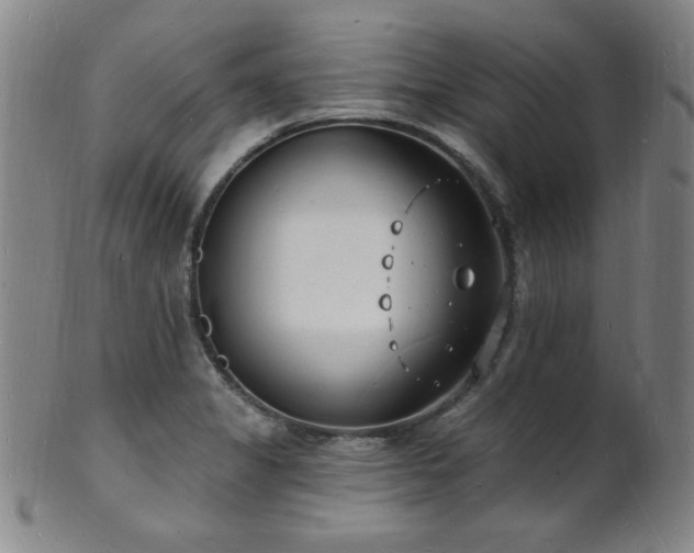 X0000101691325200807101504
