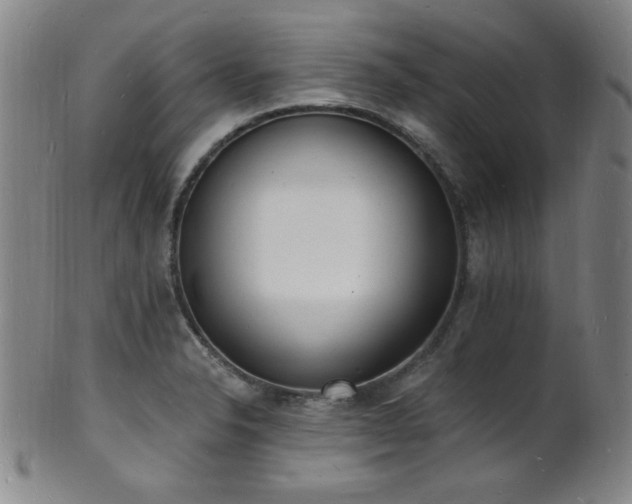 X0000101691326200807101504