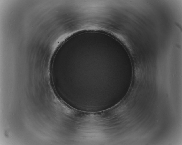 X0000101691327200807101504