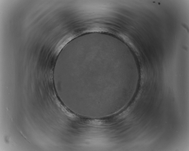 X0000101691329200807101504