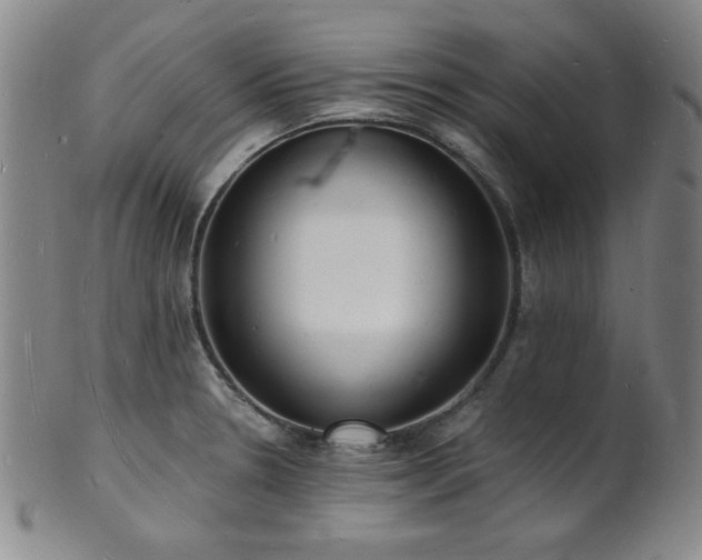 X0000101691330200807101504