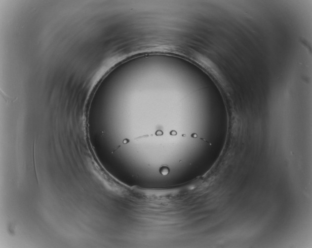 X0000101691332200807101504