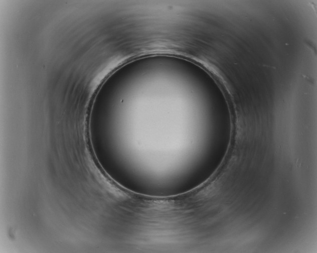 X0000101691333200807101504
