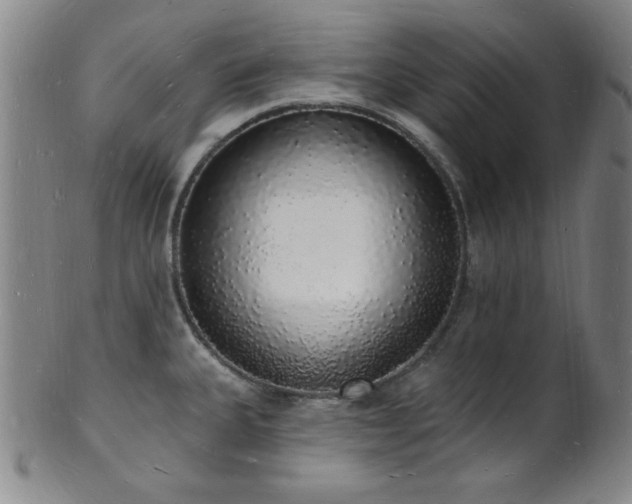 X0000101691335200807101504