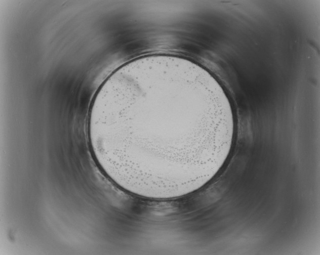 X0000101691338200807101504