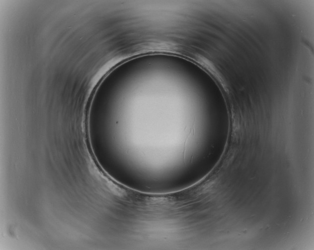 X0000101691339200807101504