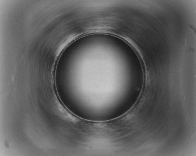 X0000101691341200807101504