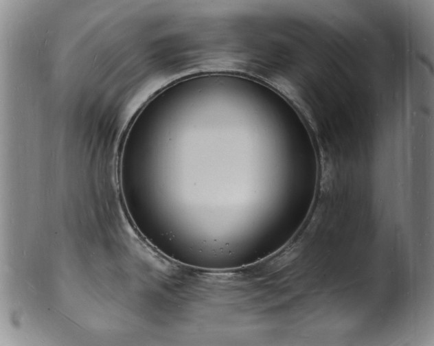 X0000101691342200807101504