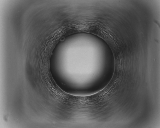 X0000101691345200807101503