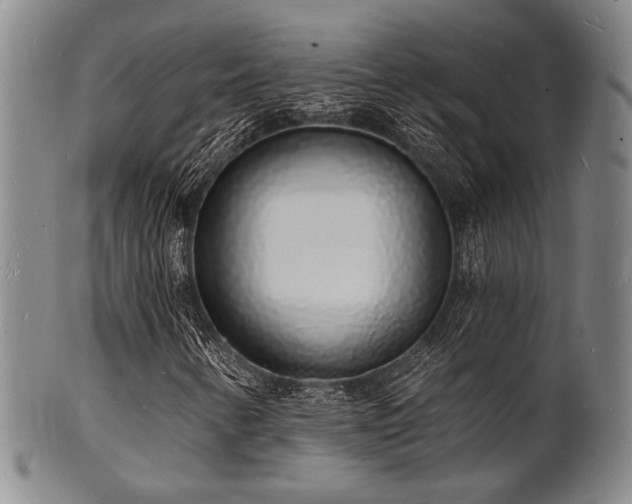 X0000101691346200807101503