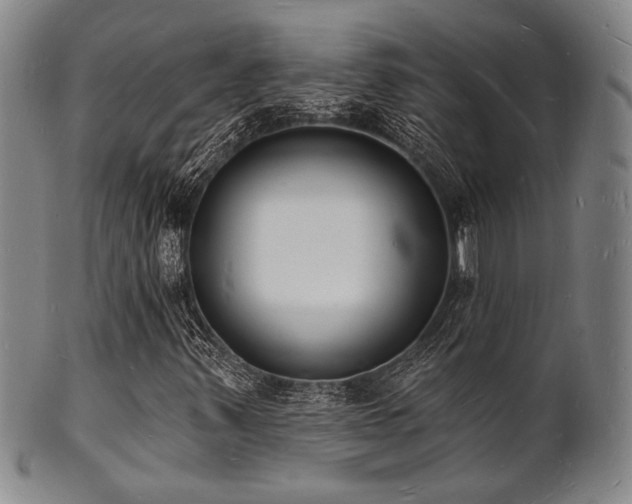 X0000101691347200807101503