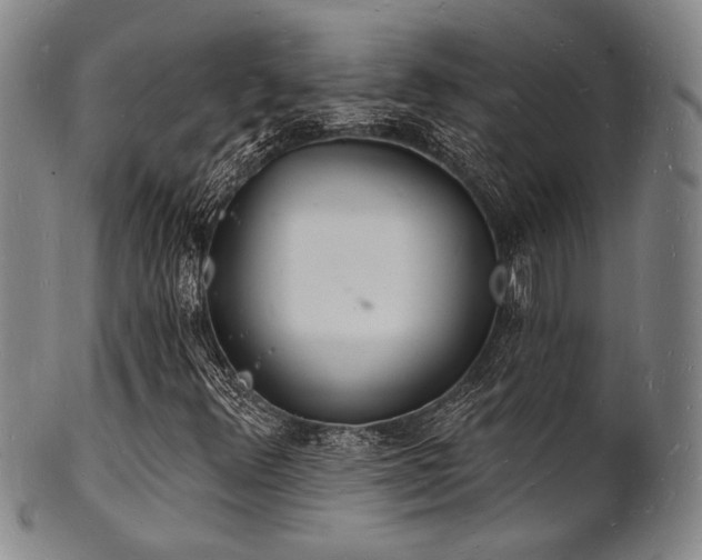 X0000101691348200807101503