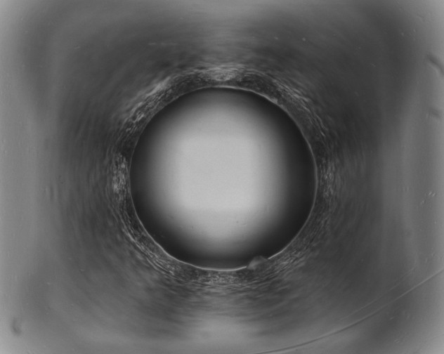 X0000101691349200807101503