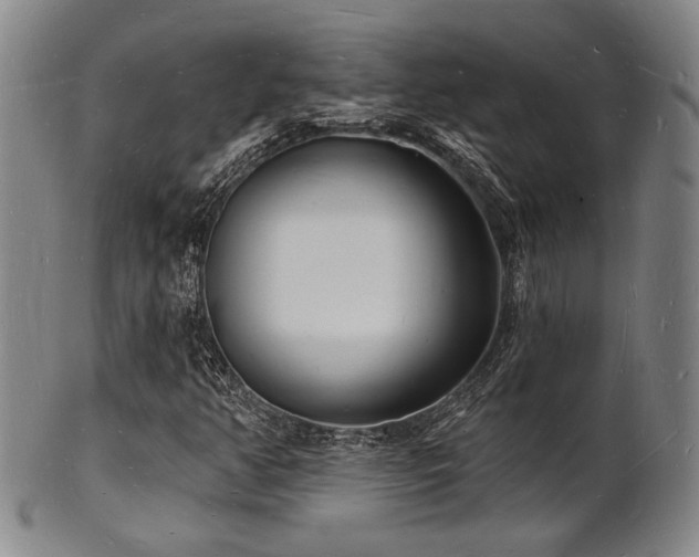 X0000101691350200807101503