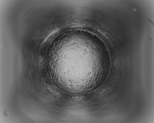 X0000101691351200807101503