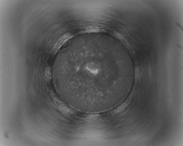 X0000101691353200807101503