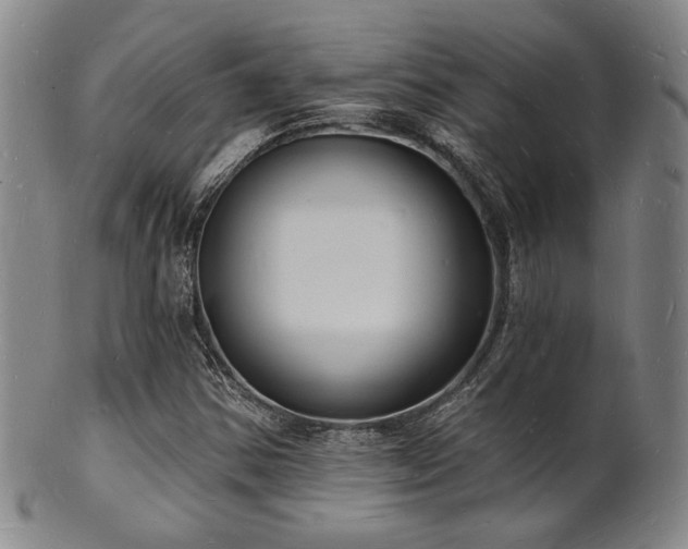 X0000101691354200807101503