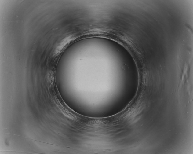 X0000101691355200807101503