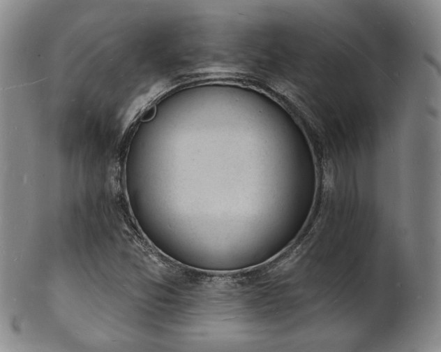 X0000101691357200807101503