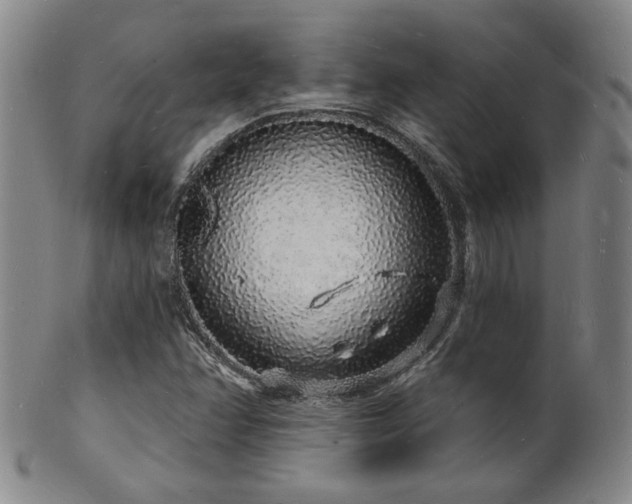 X0000101691358200807101503