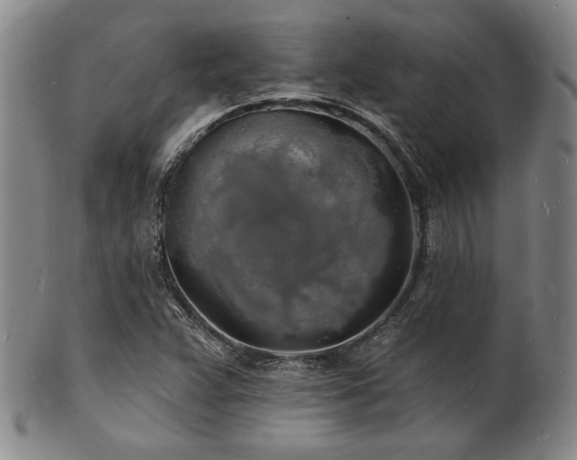 X0000101691359200807101503