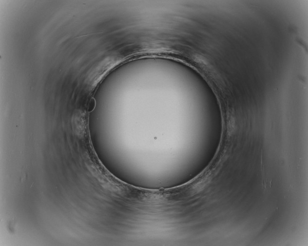 X0000101691361200807101503