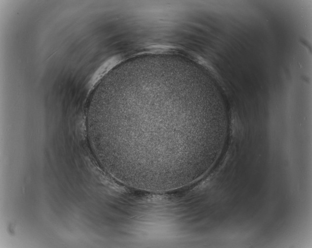 X0000101691362200807101503