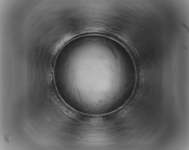 X0000101691363200807101503