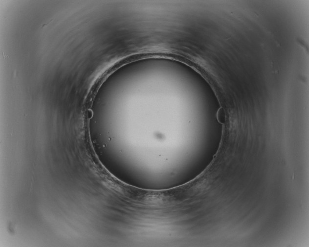 X0000101691364200807101503