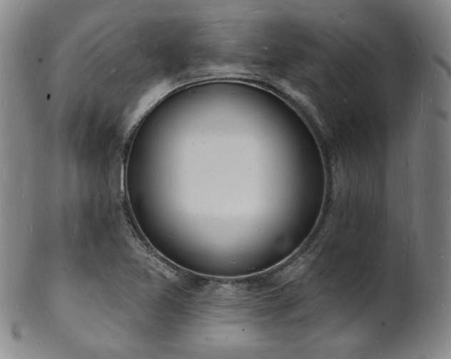 X0000101691365200807101503