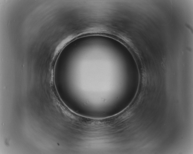 X0000101691366200807101503
