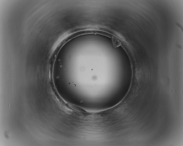 X0000101691368200807101503