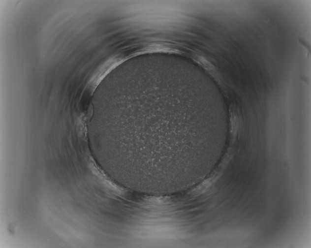 X0000101691369200807101503